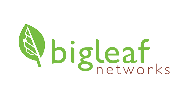 Big Leaf Networks